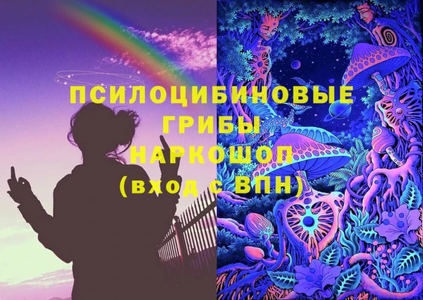 соль ск Няндома