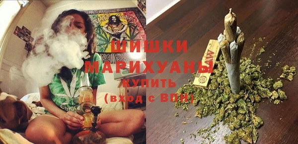 spice Осинники