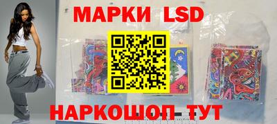 индика Боровичи