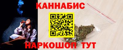 индика Боровичи