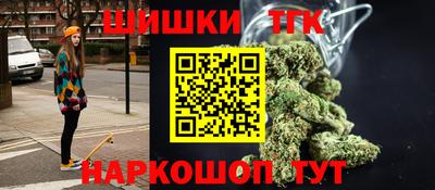 индика Боровичи