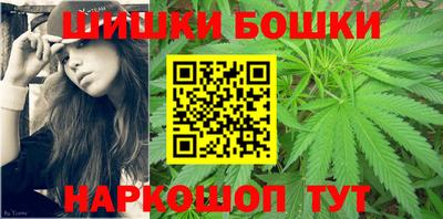 индика Боровичи