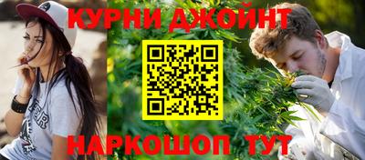 индика Боровичи