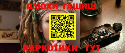 индика Боровичи