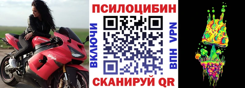 сколько стоит  Братск  Псилоцибиновые грибы Psilocybe 