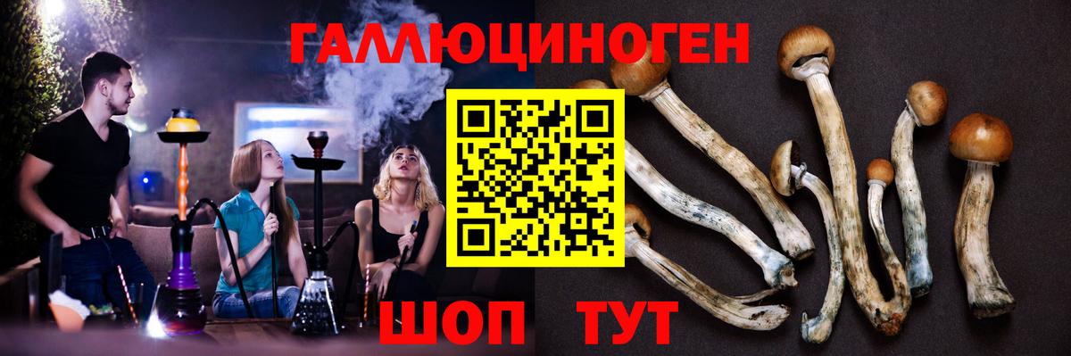 Братск  Галлюциногенные грибы мухоморы  Вход с VPN  Псилоцибиновые грибы мицелий 