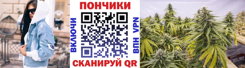 где купить наркоту Братск Канабис сатива